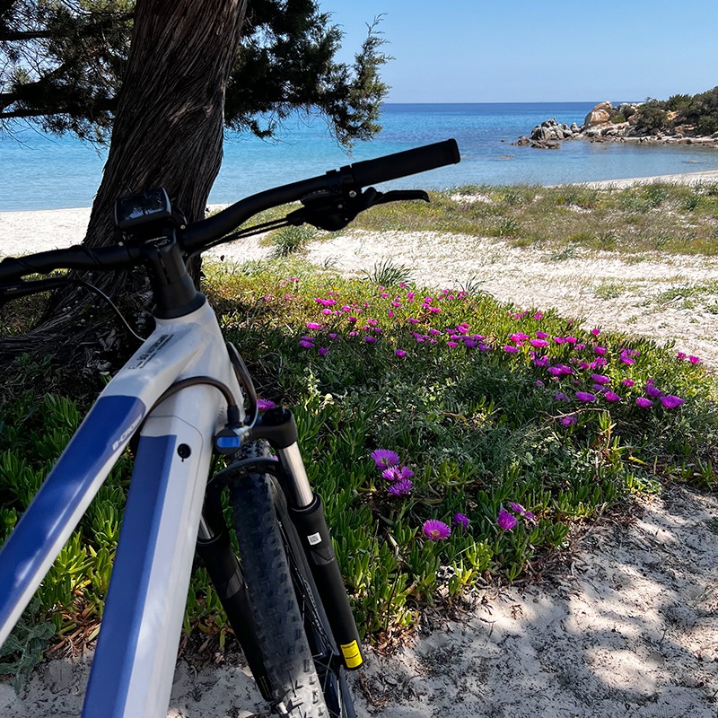 Ambiente e sostenibilità in Sardegna - Domus de Janas