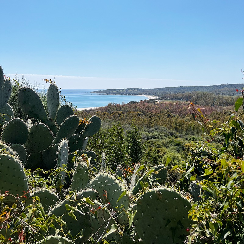 Ambiente e sostenibilità in Sardegna - Domus de Janas