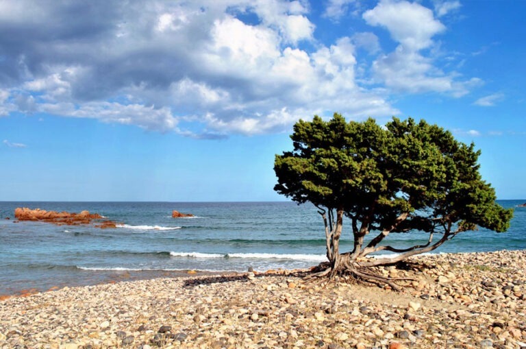 Spiagge - La Spiaggetta come raggiungere mappa
