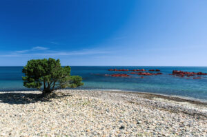 Spiagge - La Spiaggetta come raggiungere mappa