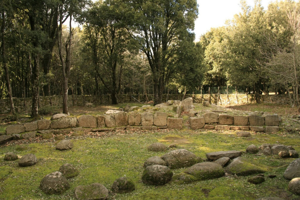 Escursioni - Bosco Selene