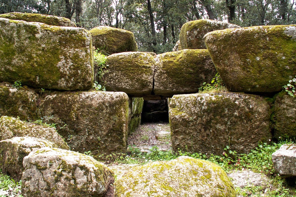 Escursioni - Bosco Selene