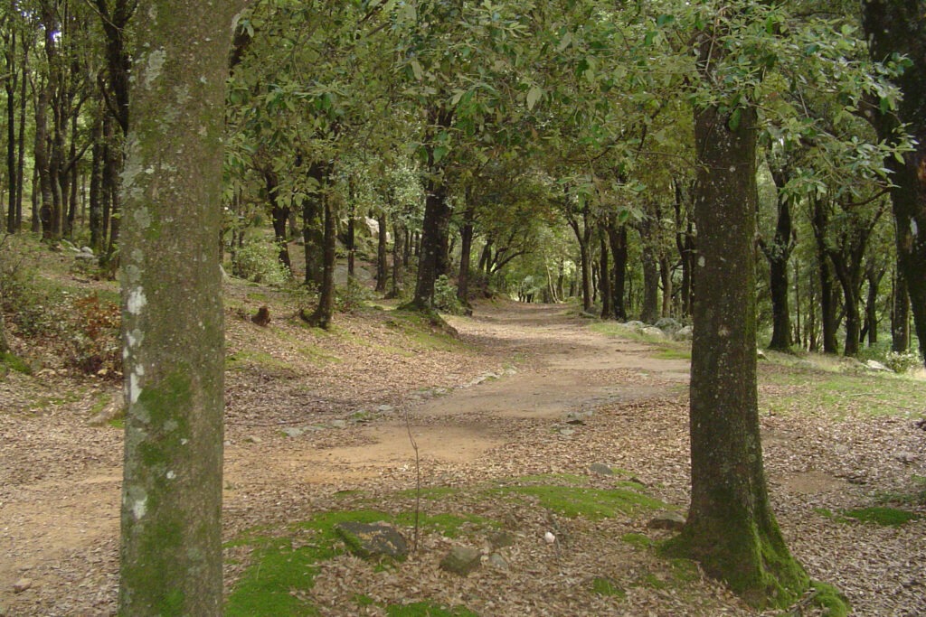 Escursioni - Bosco Selene