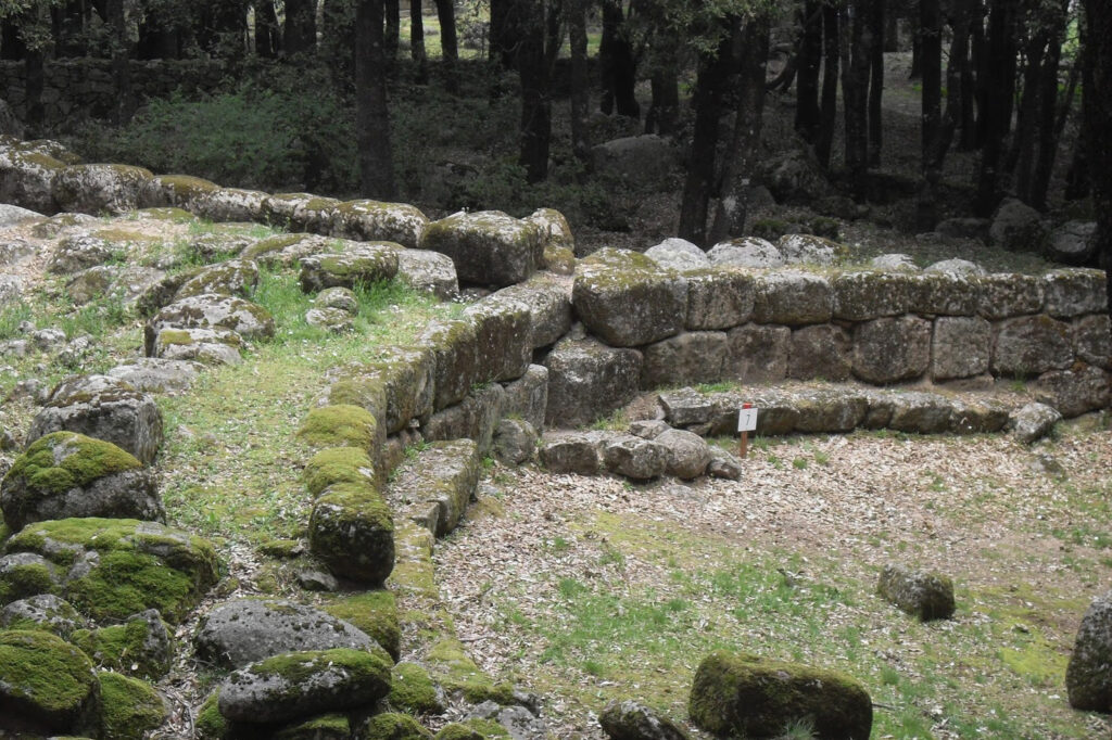 Escursioni - Bosco Selene