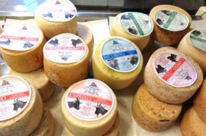 Territory Typical Sardinian Products Cheeses