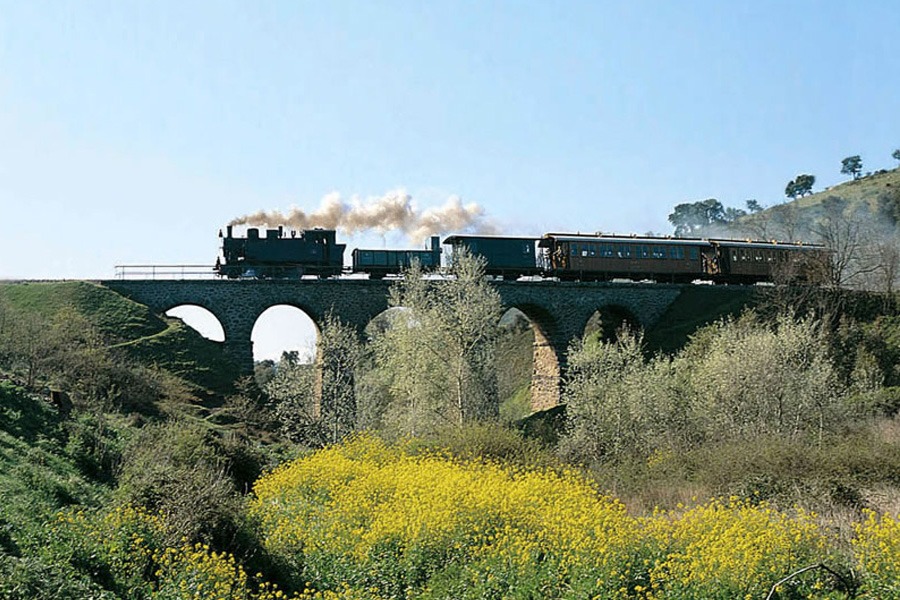 Escursioni e Attività - Trenino Verde