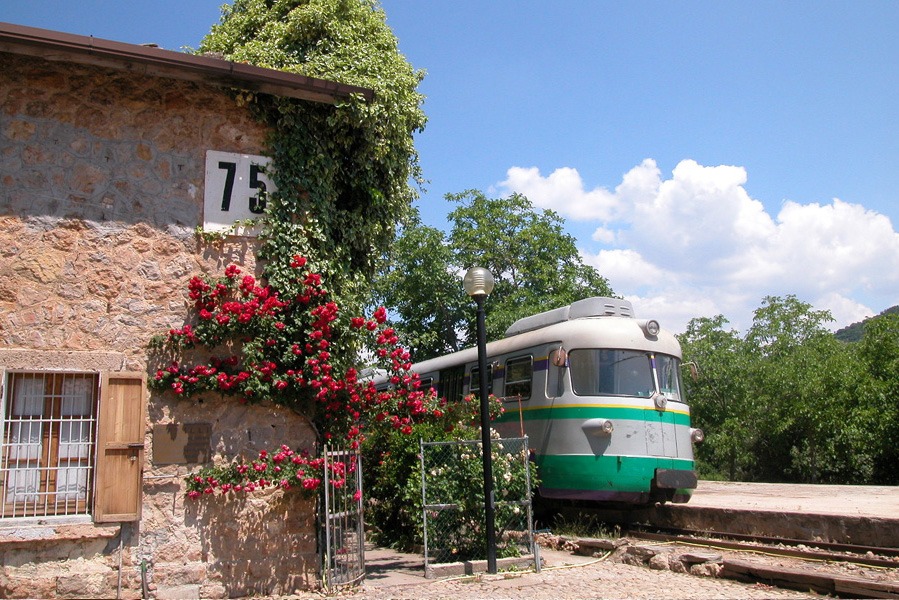 Escursioni e Attività - Trenino Verde